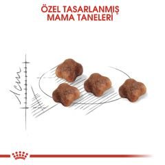 Royal Canin Babycat Yavru Kedi Maması 2Kg