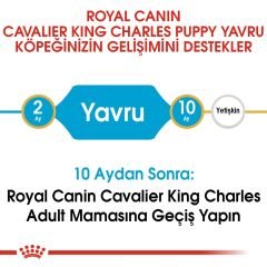 Royal Canin Cavalier King Charles Junior Yavru Köpek Maması 1.5 Kg.