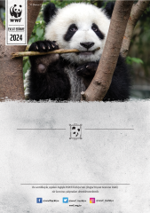 Panda Peluş Oyuncaklı Set