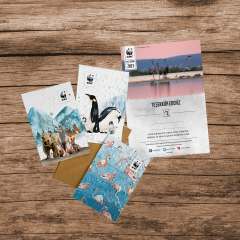 Turna Sertifika & Tohumlu Kartpostal Set