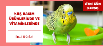 Kuş Bakım Ürünleri ve Vitaminleri