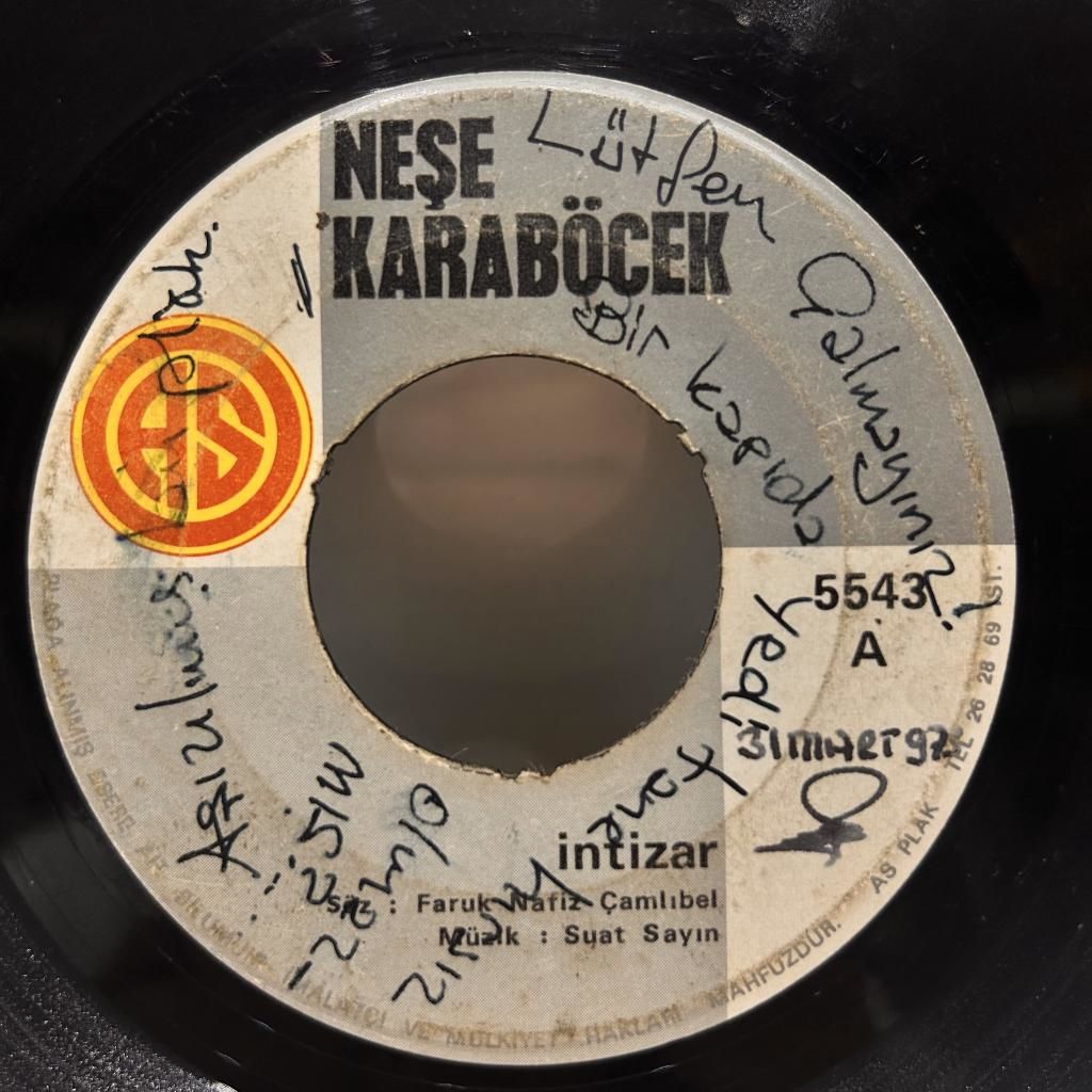 Neşe Karaböcek – İntizar / Karlı Bir Kış Günü 1973 BASKI 45LİK