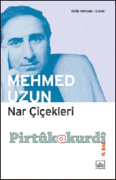 Nar Çiçekleri Bütün Yapıtları