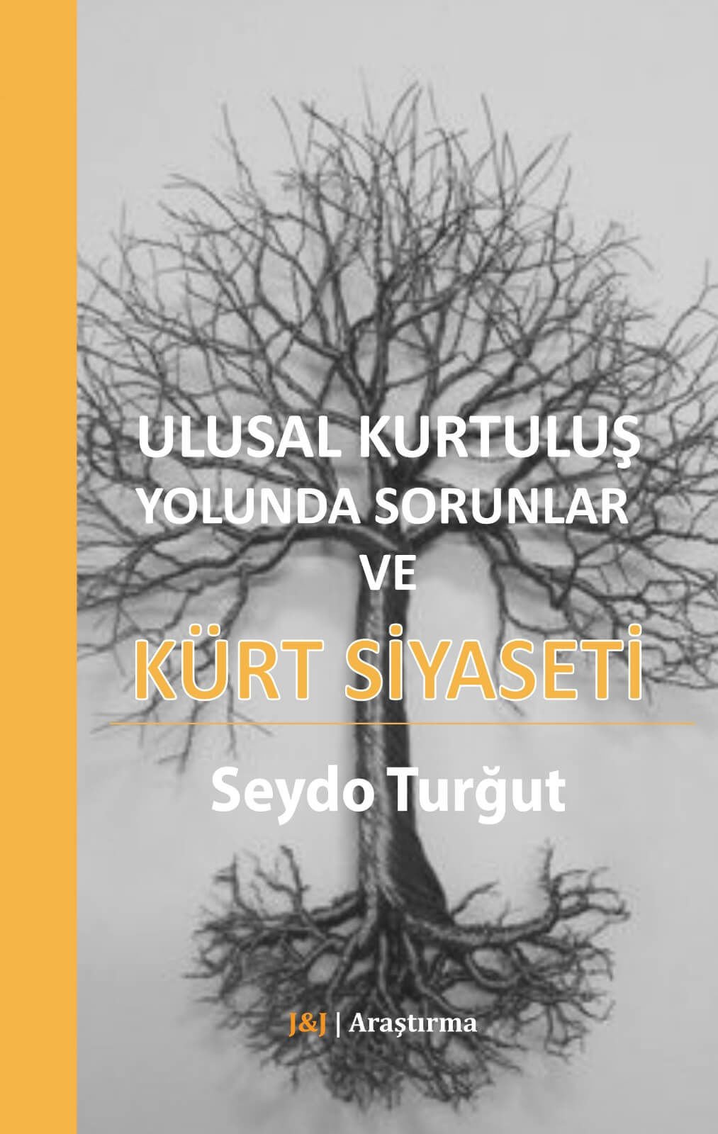 Ulusal Kurtuluş Yolunda Sorunlar ve Kürt Siyaseti
