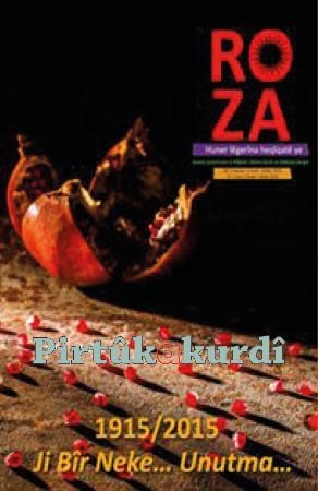 Roza-6