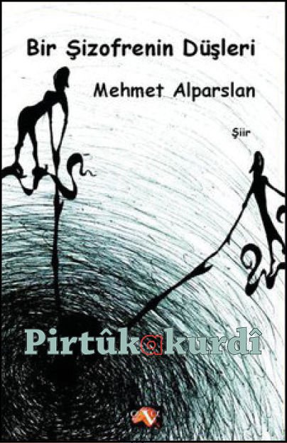 Bir Şizofrenin Düşleri