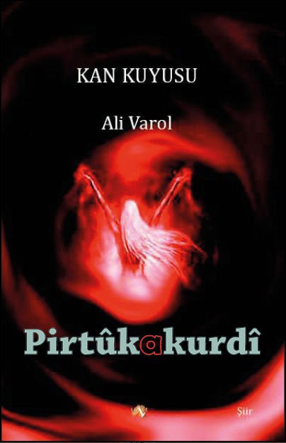 Kan Kuyusu