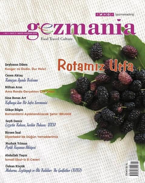 Gezmania 3