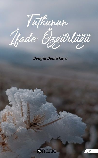 Tutkunun İfade Özgürlüğü