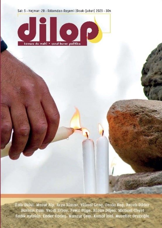 Dilop 29