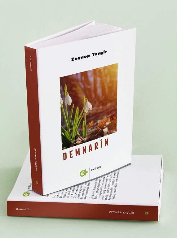 Demnarîn