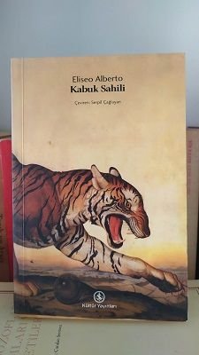Kabuk Sahili