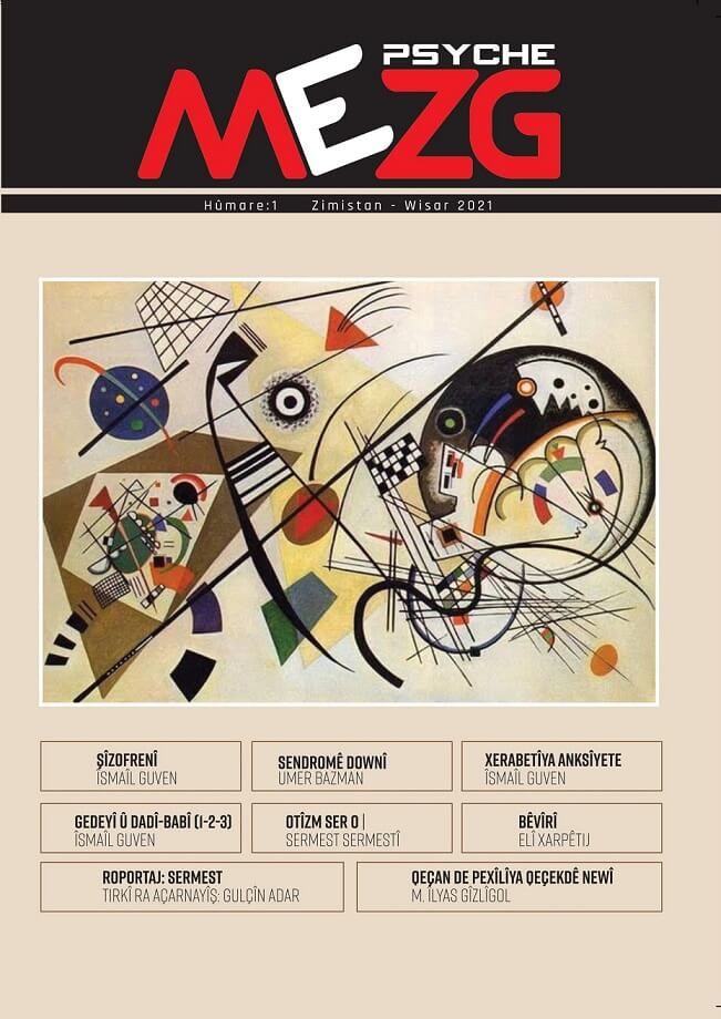 PsycheMezg Magazine 1
