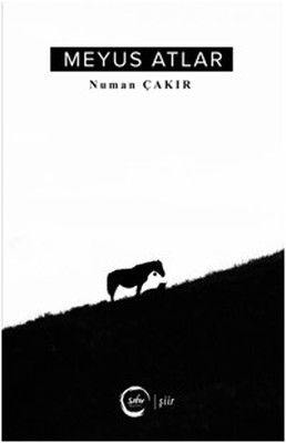 Gizli İşler Tayfası Seti-5 Kitap Takım