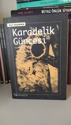 Black Hole Diary