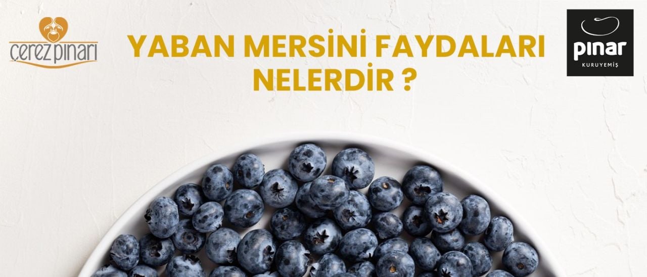 Yaban Mersini Faydaları