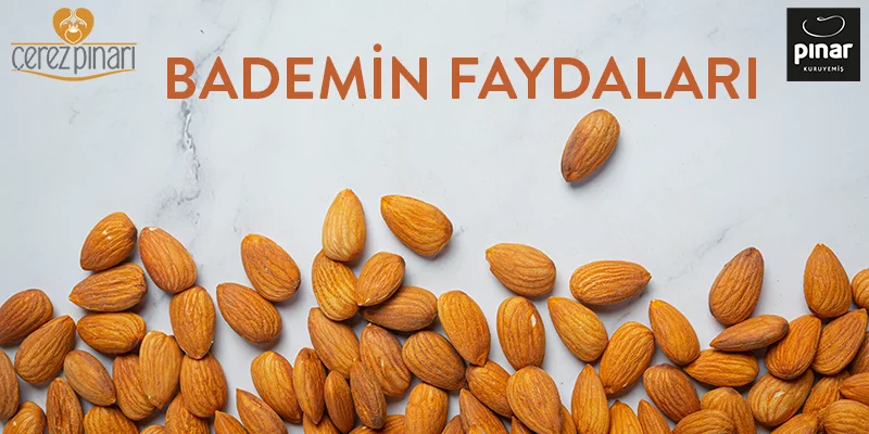 Bademin Faydaları Nelerdir?