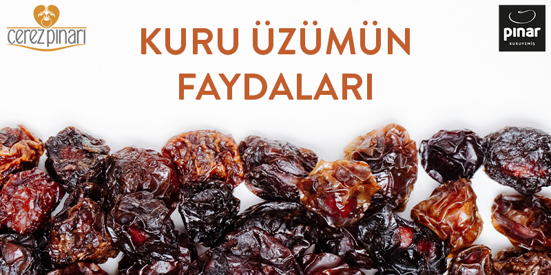 Kuru Üzüm Faydaları