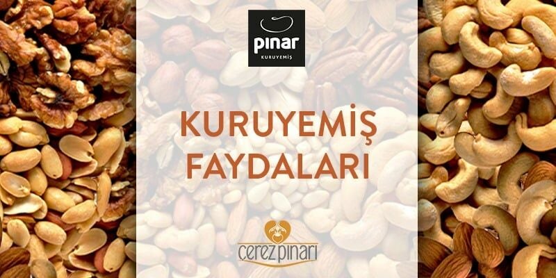 Kuruyemiş Faydaları