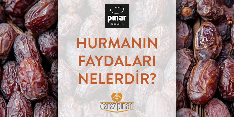 Hurmanın Faydaları Nelerdir?