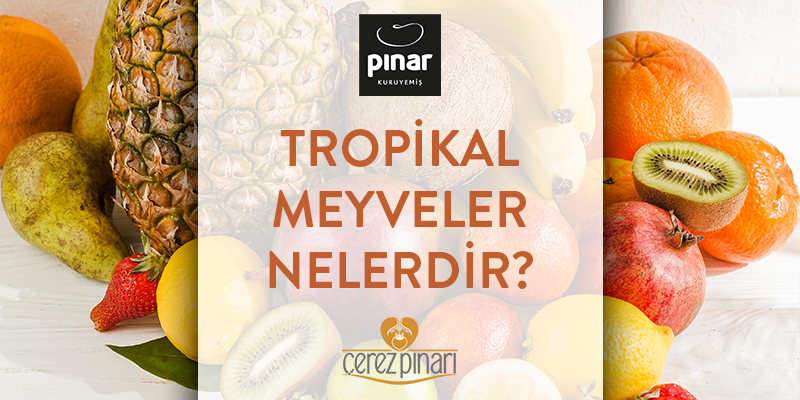 Tropikal Meyveler Nelerdir?