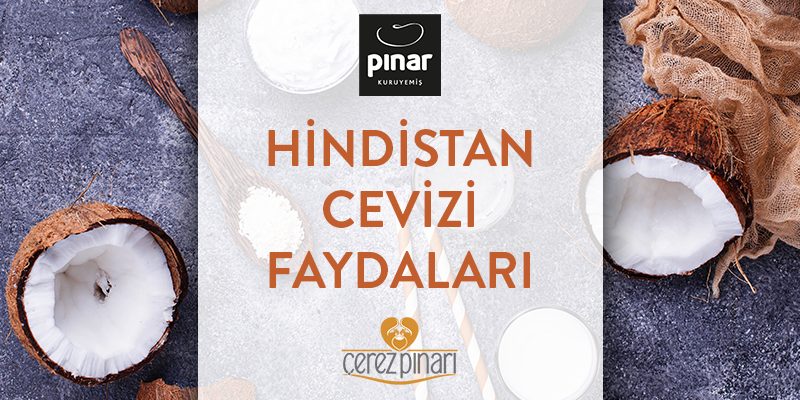 Hindistan Cevizi Faydaları