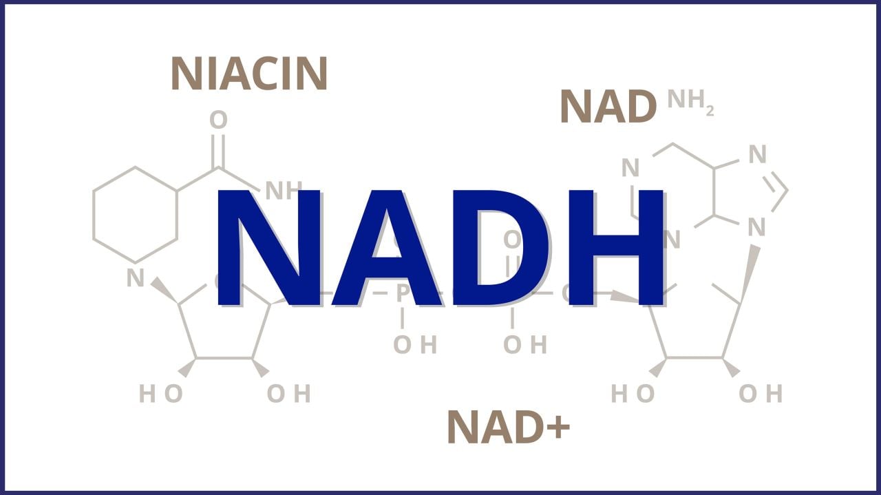NADH Nedir? Faydaları, Kullanımı ve Yan Etkileri