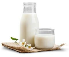 %100 Doğal Koyun Sütü Pastorize 3Lt