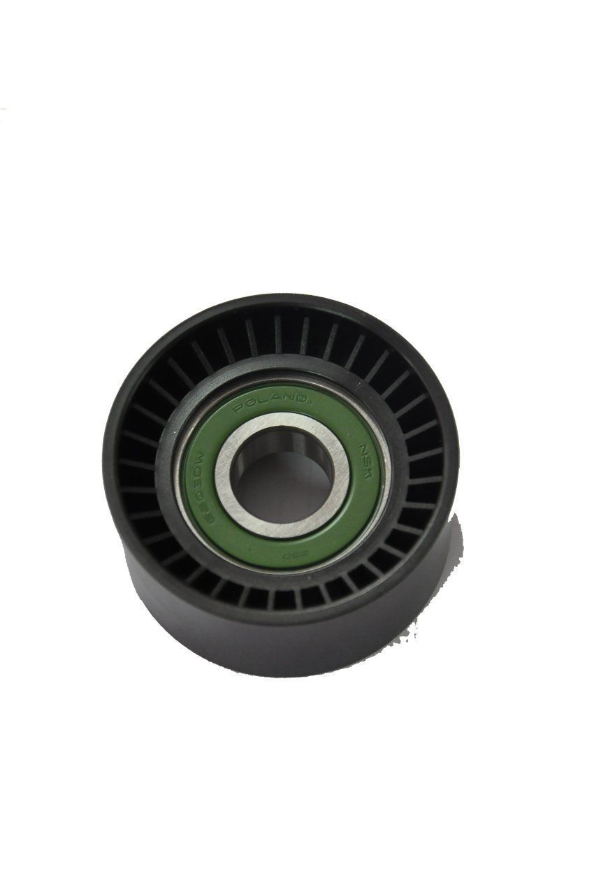Alternatör Gergi Rulmanı 1.9 Trafic-2.5 16 Valf Master II 2004-2011