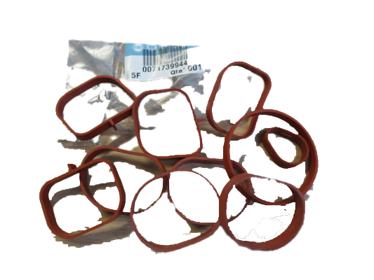 Emme Manifold Oring Takımı 1.4 16 Valf Egea