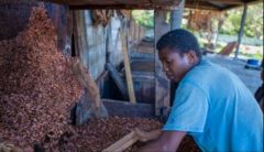 Madagaskar Mava Preparation Çikolata - 100gr