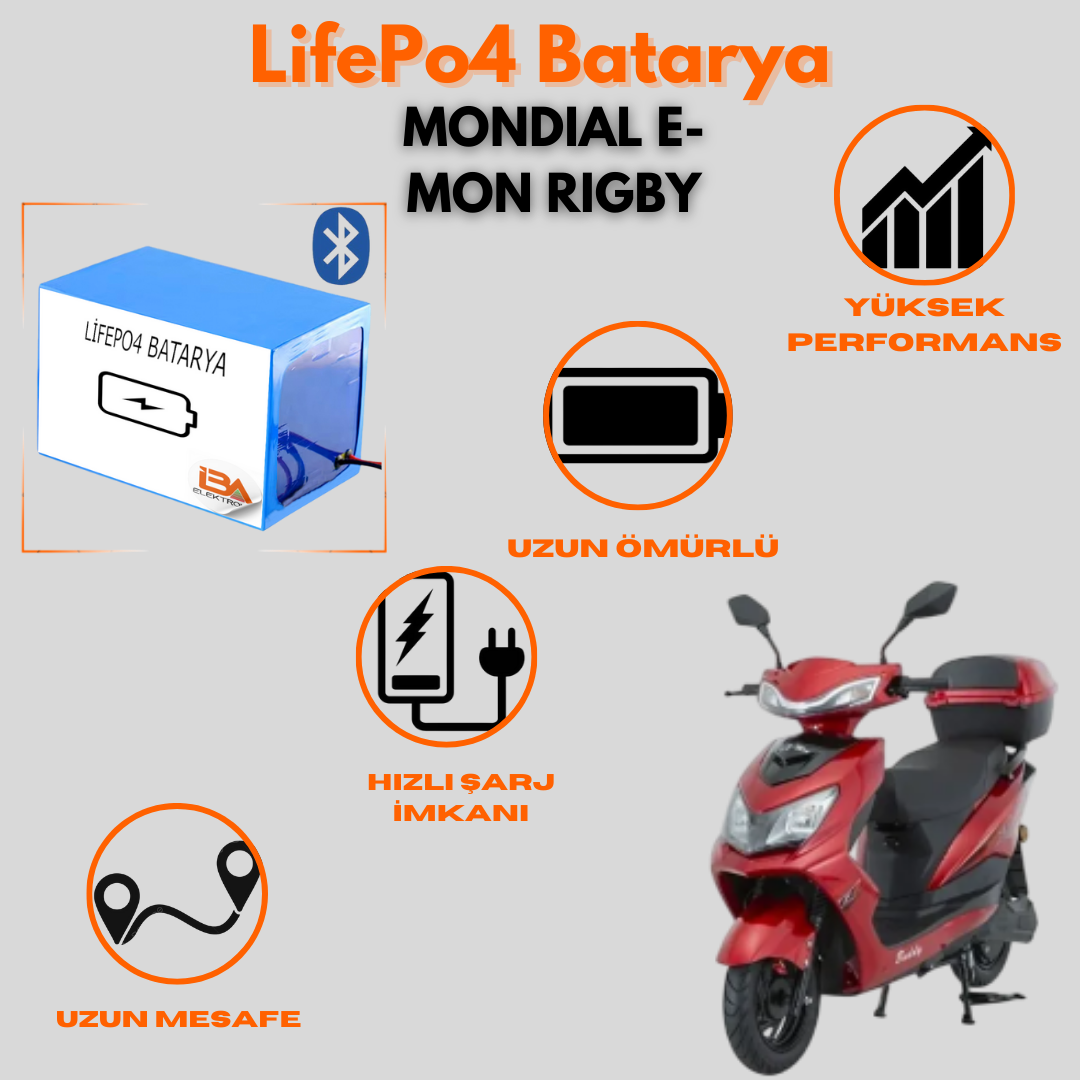 Mondial e-mon rigby 72v24ah Lifepo4 Batarya
