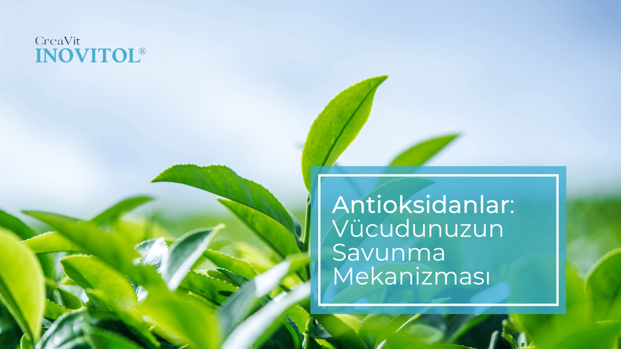 Antioksidanlar: Doğal Koruma Kalkanı