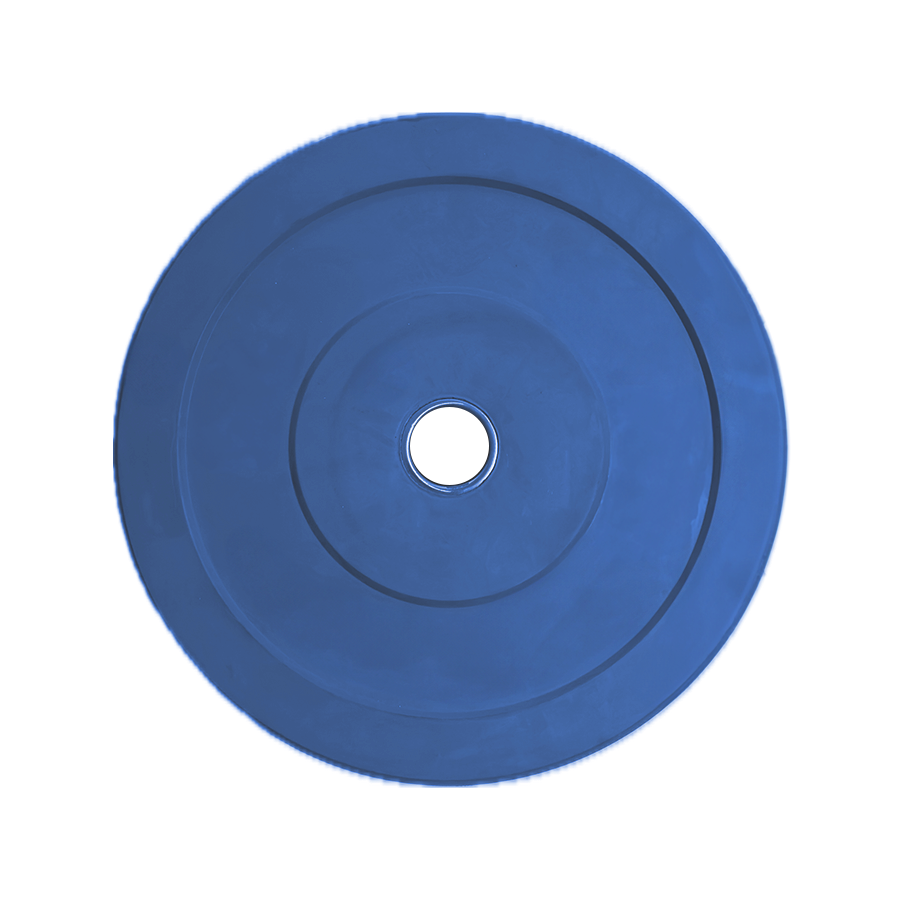 Protech Weight Plate - 20 KG Blue