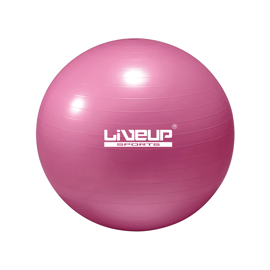 Protech Pilates Ball 65Cm Pink