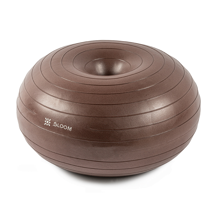Protech Brown Balance Ball + Pump | 7053