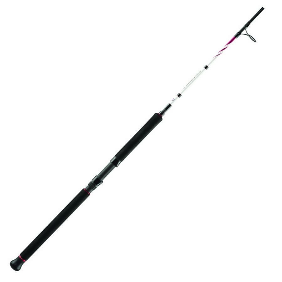 Penn Squadron II Jig Olta Kamışı