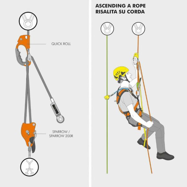 Climbing Technology Ascen/Pulle Jumar