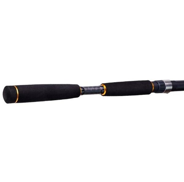 Daiwa New Legalis Seabass 210cm 14-42 2 Parça Olta Kamışı