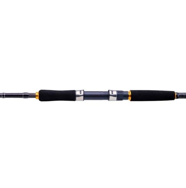 Daiwa New Legalis Seabass 210cm 14-42 2 Parça Olta Kamışı