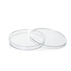 Plastik Petri Kabı Gama Steril 120 mm/Koli 220 Adet