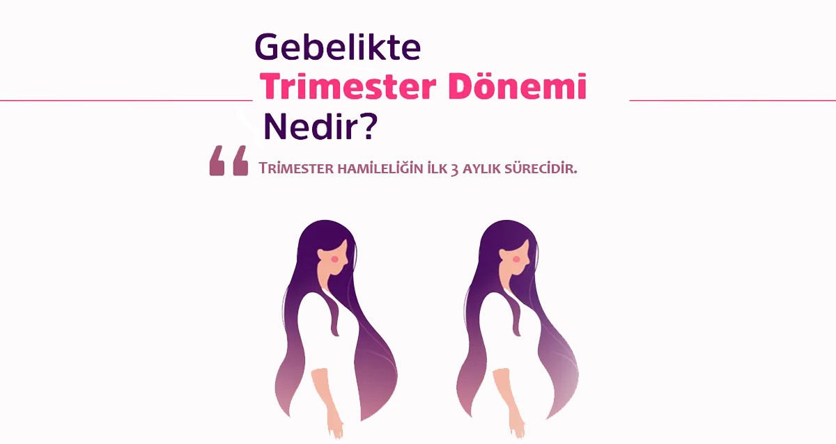 Trimester