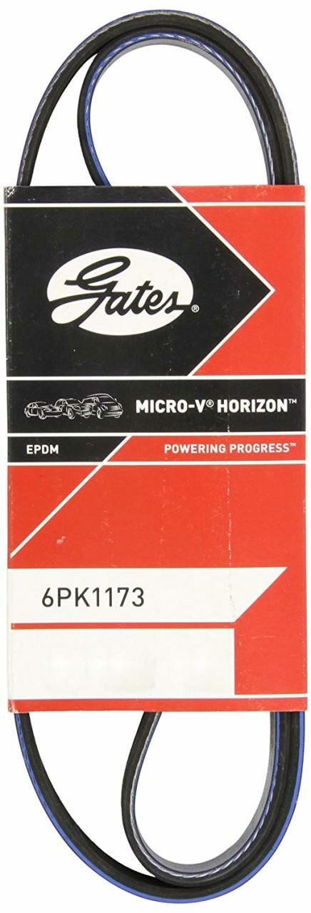 R19 Europa Alternatör V Kayışı 1.9 F8Q (Dizel) 7700743549 -Gates