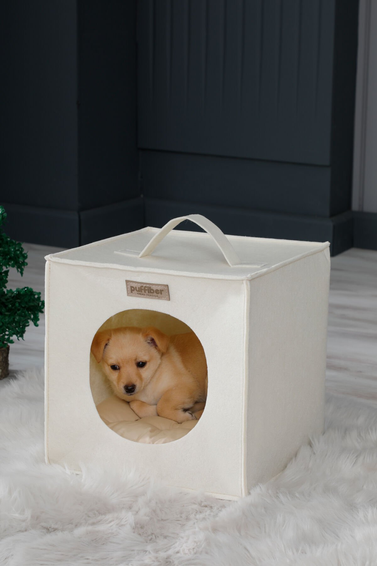 Köpek Yuvası Bej