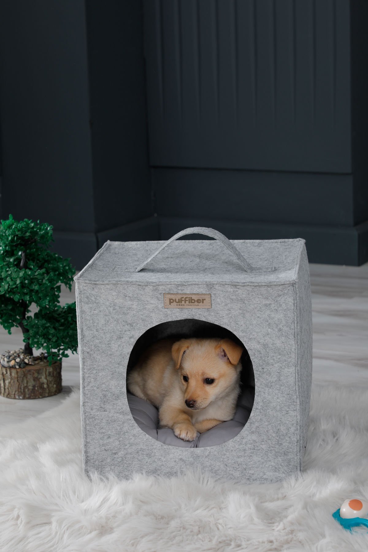 Köpek Yuvası Gri