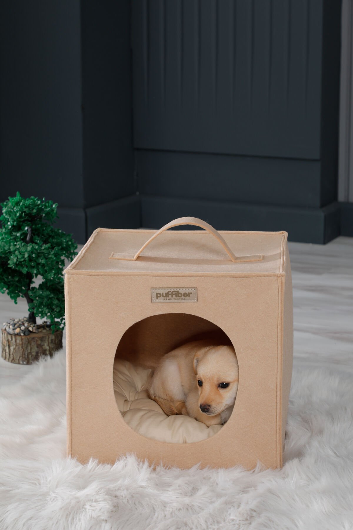 Köpek Yuvası Kahverengi