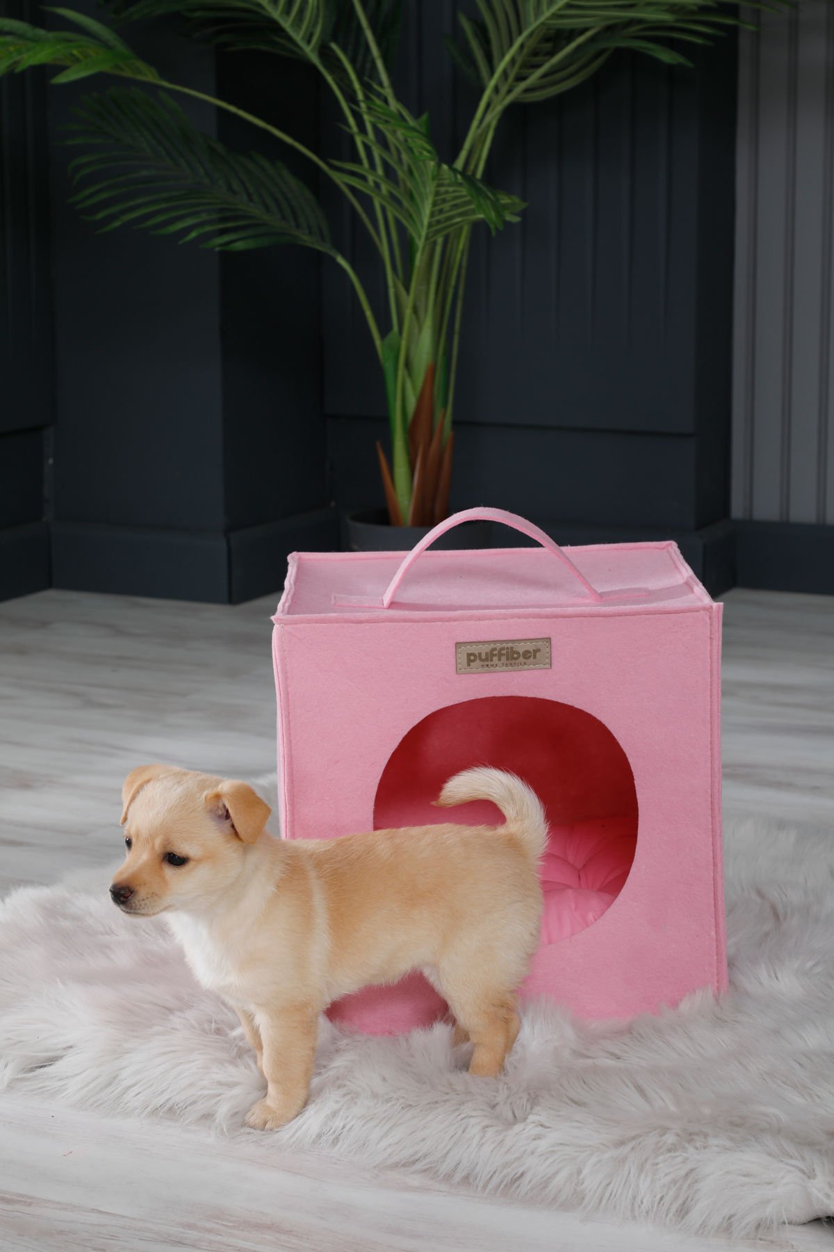 Köpek Yuvası Pembe