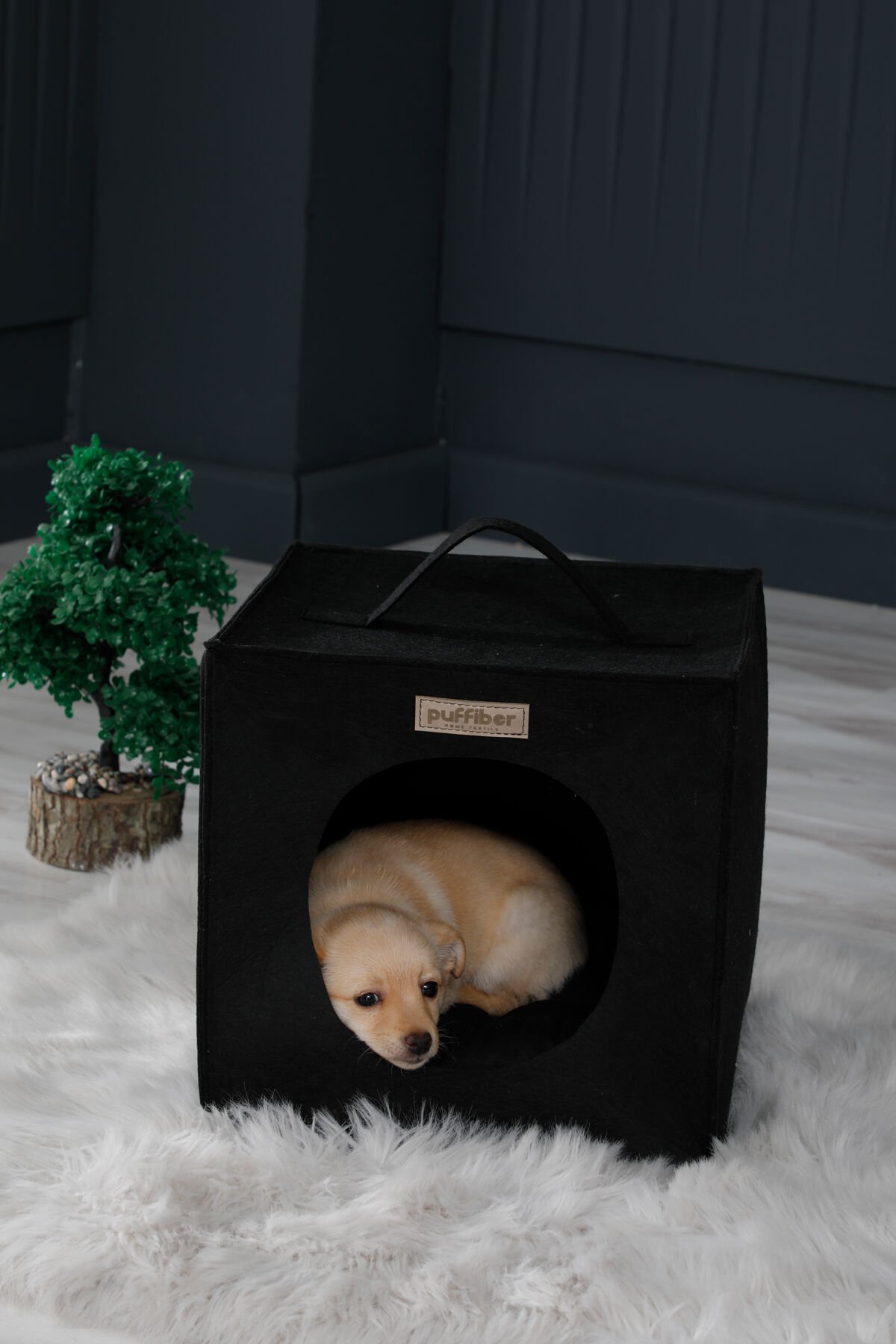 Köpek Yuvası Siyah