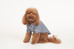 Bi Dolap Ponçik Smart Boy Mavi Keten Gömlek Kedi Köpek Kıyafeti & Gömleği