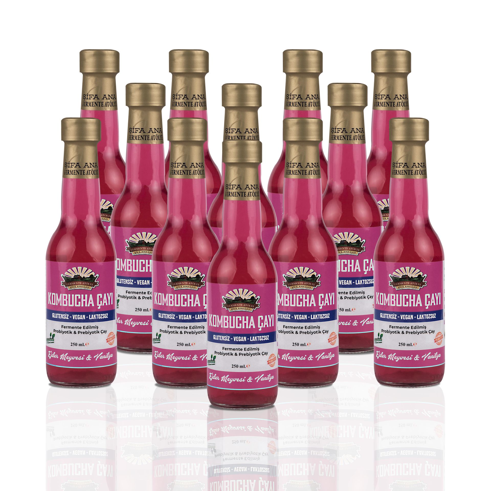 12 Dragon Fruit & Vanilla Kombucha (250ml.) in Glass Bottle